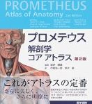 解剖学を理解するための必読医学書4冊